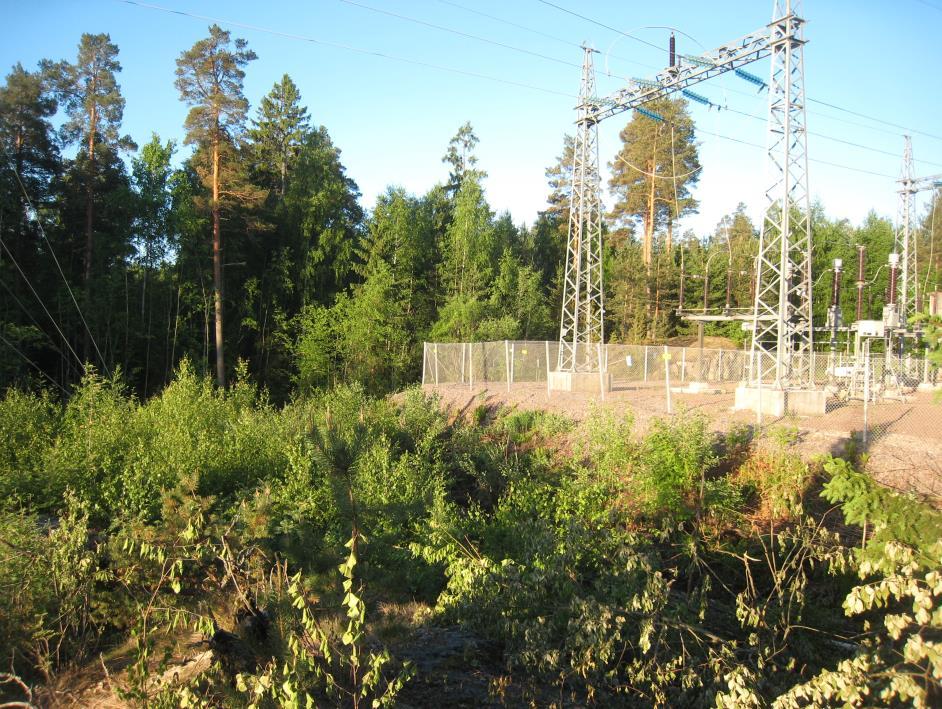 6 Kuva 5-2. Sähköasema ja koivutaimikkoa voimalinjan alla kuviolla 4. Taustalla kuvion 5 männikköä. Kuvio 5. Kuivahkon kankaan (VT) nuori männikkö.