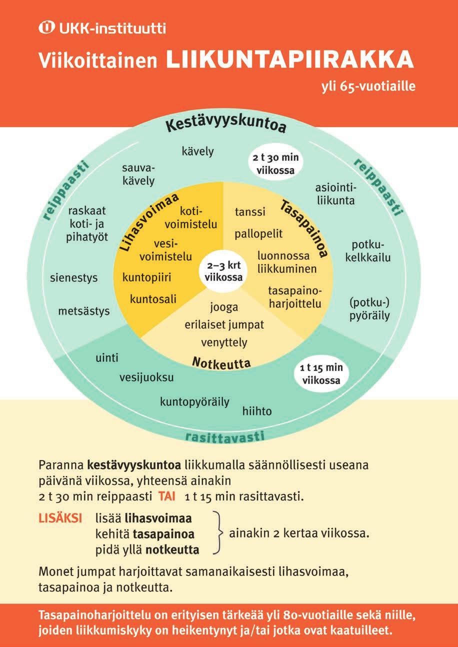 LIIKUNTA Liikuntapiirakka