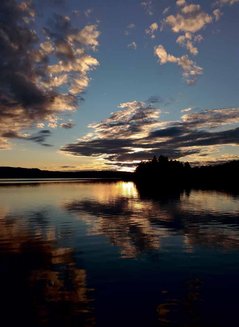 Vaaralla