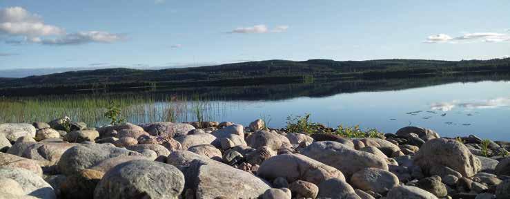 Kuva:Päivi Hartikainen Kuva: Elmo Nuutinen Kuva: Mona Koskelo Rautavaaran kunnan palveluopas Opastus, neuvonta ja kokoustilojen varaaminen p. 040 860 8000 Kunnanjohtaja p.