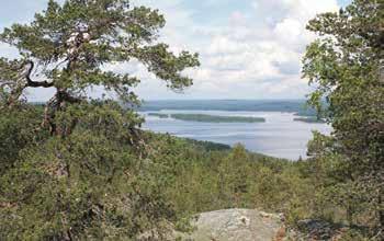 017 171 260 ma-to klo 8-16, pe klo 8-15 Kiireellinen ajanvaraus, päivystävä sairaanhoitaja p. 017 171 262 ma-pe klo 8-9 ja klo 12-12.