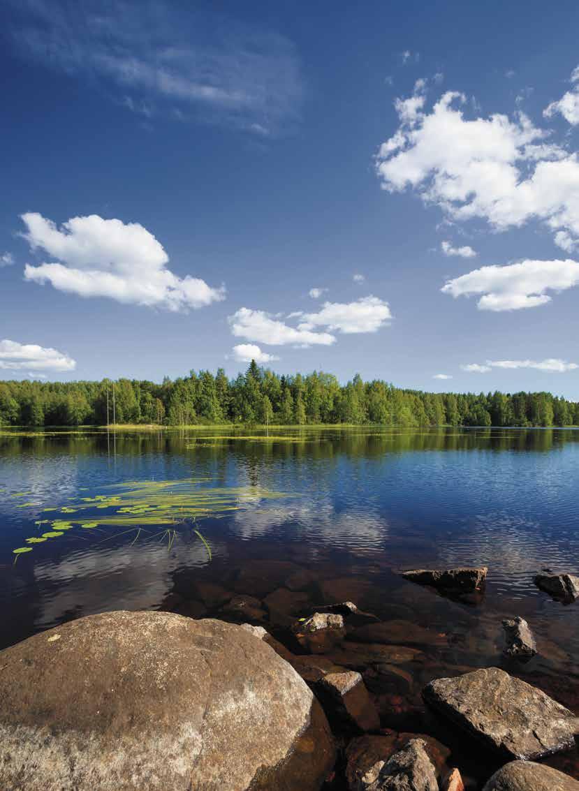 Pääkirjoitus Vaaralla palaa ELÄMÄN TULI Rautavaaralla asuu onnellinen kansa. Pohjois-Savon maakunnan teettämä hyvinvointikysely paljasti Rautavaaran olevan Pohjois-Savon toiseksi onnellisin kunta.