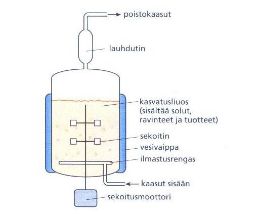 Bioreaktorityyppejä 3 perustyyppiä: CSTR (continuously