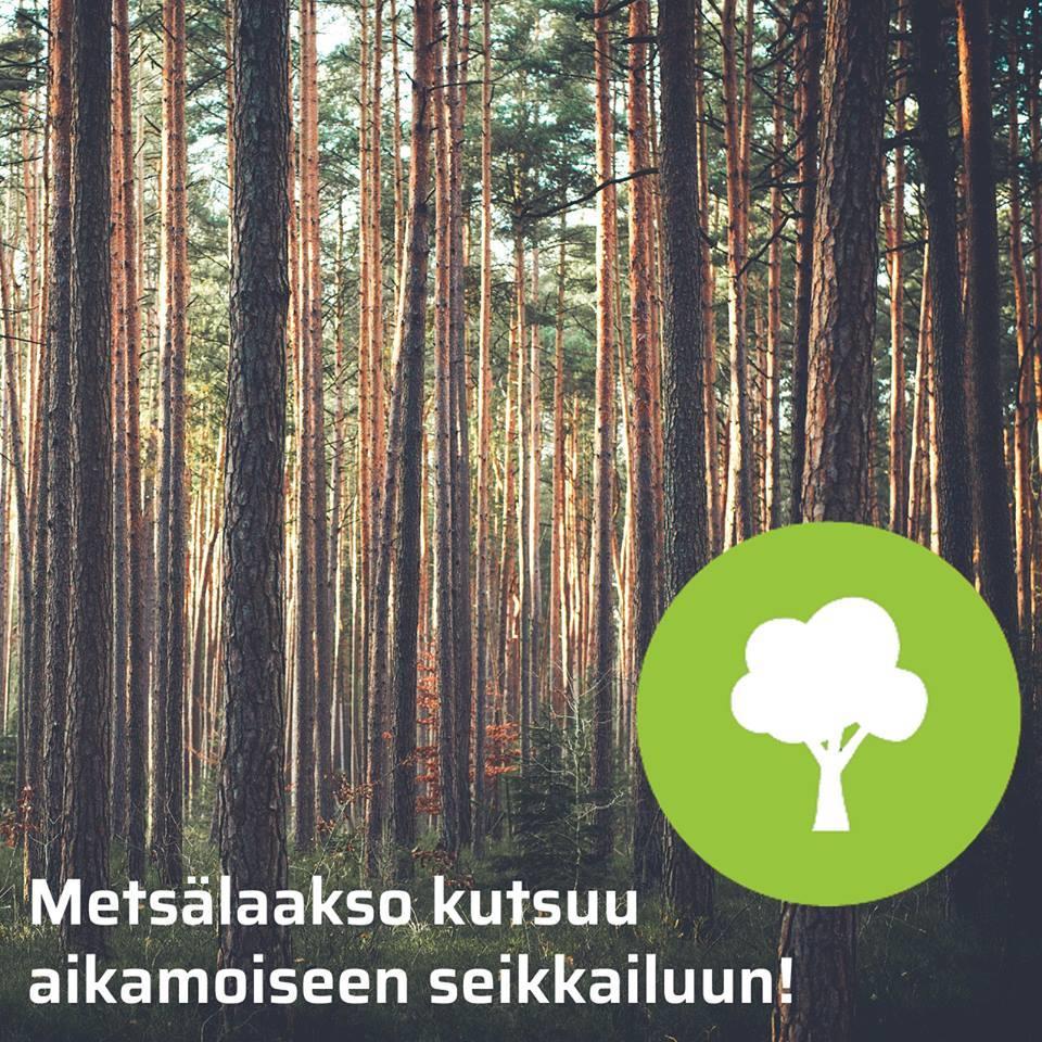 OHJELMA - METSÄ Seikkailijat, tarpojat ja samoajat osallistuvat metsälaaksoon eli haikille Seikkailijat