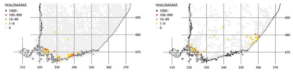 Kuva 3. Jalavanopsasiiven (Satyrium w-album) levinneisyys on laajentunut merkittävästi 24 seurantavuoden aikana (1991 2014).