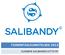 TOIMINTASUUNNITELMA 2013 SUOMEN SALIBANDYLIITTO RY