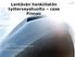 Lentävän henkilöstön työterveyshuolto case Finnair
