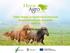 Tallin imago ja hyvinvoiva hevonen ympäristötekojen taustalla OSA III. 21.1.2012 Heini Iinatti
