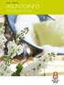 ASUNTOINFO AS OY ESPOON VICTORIA