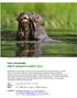 PERUN AMAZON & ANDIT 2012. Luonto- ja kuvausmatka: