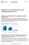 Majoitus- ja ravitsemistoiminnan tilinpäätöstilasto 2012