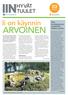 Ii on käynnin. Iihin ainutlaatuinen ympäristö - taiteen puisto