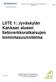 LIITE 1: Jyväskylän Kankaan alueen tietoverkkoratkaisujen toimintasuunnitelma