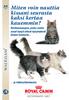 Miten voin nauttia kissani seurasta kaksi kertaa kauemmin? Ravitsemusopas, jonka avulla osaat kysyä oikeat kysymykset kissan kasvusta...