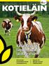 Kesä-Krossit täydentävät laidunrehun. Kannuksen koulutilalla huima tuotosparannus. Starane XL tehoaa nurmen rikkakasveihin