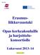 Erasmusliikkuvuustuki. Opas korkeakouluille ja harjoittelukonsortiolle