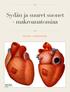 Sydän ja suuret suonet - makroanatomiaa