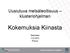 Uusiutuva metsäteollisuus klusteriohjelman. Kokemuksia Kiinasta. Seminaari 12.4.2012 Porvoo