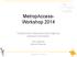 MetropAccess- Workshop 2014