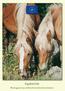 EquineLife Ekologisesti ja eettisesti kestävä hevostalous