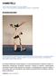 Akrobatiavoimistelussa huikeat tasapaino- ja kehonhallinnantaidot yhdistyvät erilaisiin voimistelijoiden