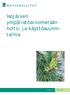 Isojärven ympäristöarvometsän hoito- ja käyttösuunnitelma