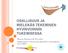 OSALLISUUS JA MIELEKÄS TEKEMINEN HYVINVOINNIN TUKEMISESSA. Maaret Rutanen & Piia Altti Ikäihmisten voimavarat käyttöön -teemapäivä 19.11.