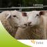 Lammas eläinsuojelulainsäädäntöä koottuna