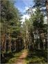 Metsien luonnontuotteet ja luomu. Rainer Peltola, MTT Rovaniemi / LAPPI LUO