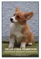 WELSH CORGI PEMBROKEN rotukohtainen jalostuksen tavoiteohjelma