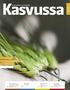 Kasvussa. Lupaavia uutuuslajikkeita Borealilta» sivu 6. Puristamot tarvitsevat raaka-ainetta -öljykasvisadolle on. Menolippu Pohjolaan