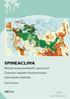 Metlan kansainvälisen ilmastonmuutos- ja metsänrajatutkimuksen kehittämissuunnitelma