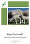 Hyvä Lammas! Näkökulmia lammasketjun vastuulliseen toimintaan