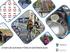 JYVÄSKYLÄN KAUPUNGIN PYÖRÄILYN EDISTÄMISOHJELMA