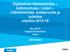 Digitaalista liiketoimintaa tutkimushaku: Liideri Liiketoimintaa, tuottavuutta ja työniloa ohjelma 2012-18