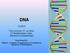 DNA Tiina Immonen, FT, yo-lehtori HY Biolääketieteen laitos, Biokemia ja kehitysbiologia