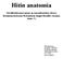 Hitin anatomia Sävelluokkaentropian ja tonaalisuuden yhteys listamenestykseen Britannian single-listoilla vuosina