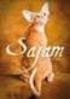 Sisällys Kannessa. Siam-Orient kissayhdistys ry:n jäsenlehti