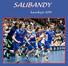 SALIBANDY. kausikirja 2016