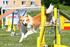 Agility-tulokset 2007