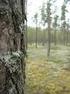 Etelä-Pohjanmaan metsäkeskuksen alueen metsävarat ja niiden kehitys
