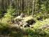 Pyhtään tuulivoimayleiskaavat, Mustakorpi