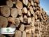 Pohjois-Suomen metsävarat, hakkuumahdollisuudet ja metsäohjelmat
