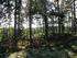Suomen metsäkeskuksen metsätietojärjestelmä