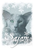 Siam-Orient kissayhdistys ry:n jäsenlehti 4/2012