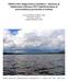 Hiidenveden ulappa-alueen kalatiheys, -biomassa ja lajijakauma elokuussa 2013 kaikuluotauksen ja koetroolauksen perusteella arvioituna