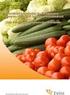 Maa- ja metsätalousministeriön asetus hedelmä- ja marjakasvien taimiaineiston tuottamisesta, markkinoinnista ja maahantuonnista