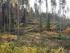 Kohti edistyvää metsäsektoria Luoteis-Venäjällä - Tutkimushankkeen loppuraportti