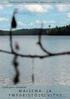 Lahdesjärvi-Lakalaiva osayleiskaava-alueen lepakkokartoitus 2006