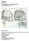 Neurobiologia, osa I (neuroanatomia) HY Biolääketieteen laitos, kevät 2013 Jaksovastaava Heikki Hervonen